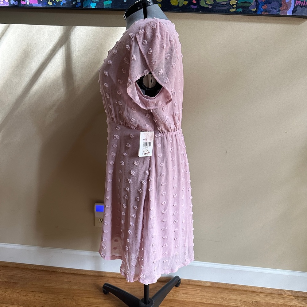 Pink Swiss dot  Dress